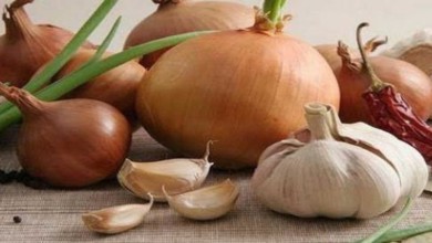 4d192389 91a4 4bb8 8851 e7c1edfb7895 16x9 1200x676