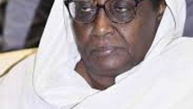وزيرة الخارجية السودانية تتلقى دعوة لزيارة باكستان اسماء وزيرة الخارجية