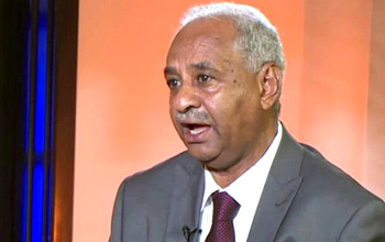 مجلس الوزراء: إجراءات فعالة لرصد تحركات عناصر (الوطني) فيصل