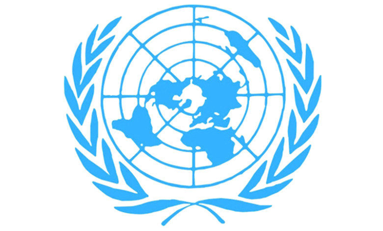 منظمة حقوقية تطالب بمحاسبة أفراد الدعم السريع لإهانتهم مواطنين بتالودي image 3