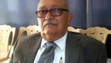 المحامي نبيل اديب