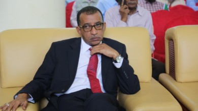 عمر الدقير: العمليات العسكرية لا تعالج أسباب الأزمة في السودان الدقير