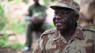 عبدالعزيز الحلو