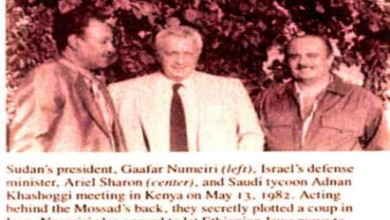 شارون ونميري