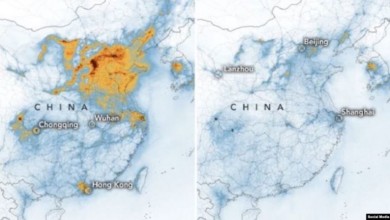 B74D1198 1785 40A2 938A 4333278ADE62 w1023 r1 s