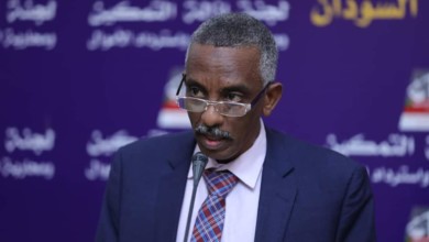 وجدي صالح