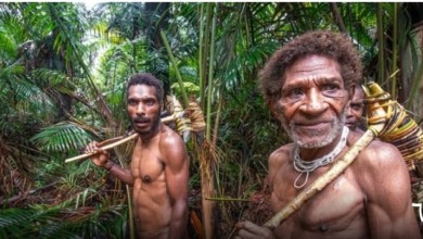 IMG ٢٠٢٠٠٥١١ ١١٥٦٤٧