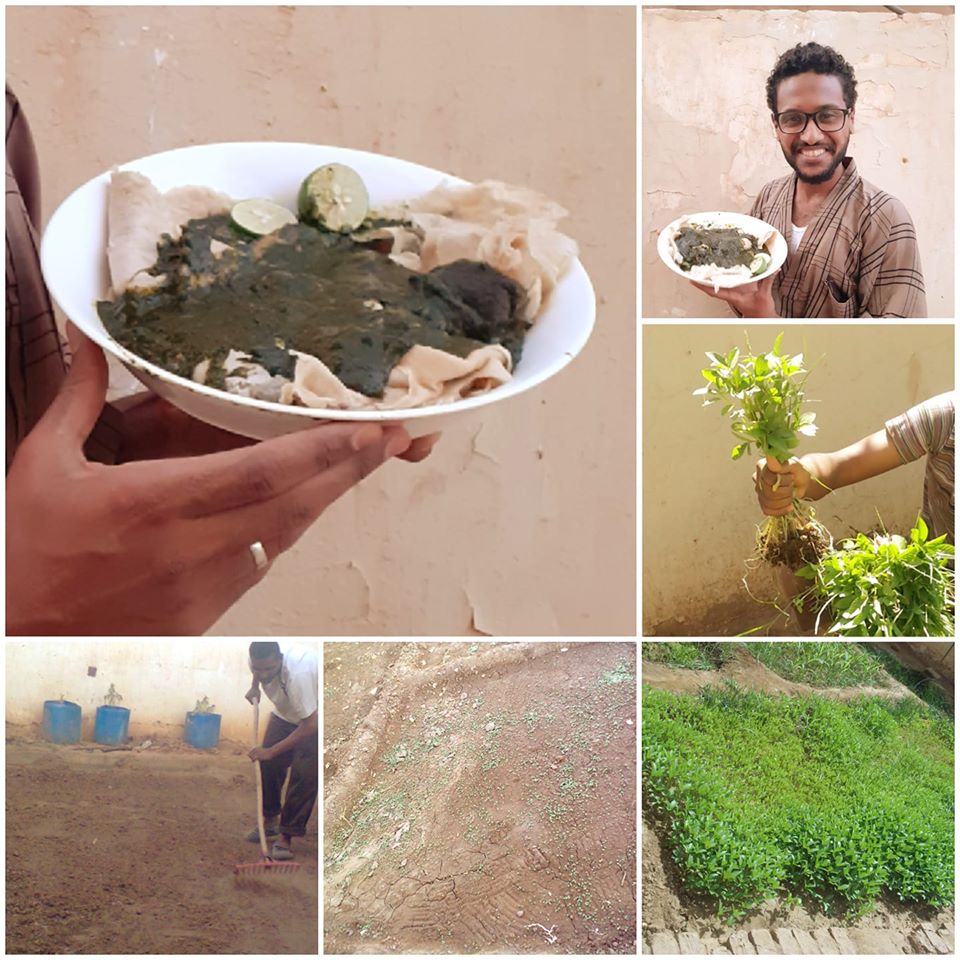 علي شرف الدين