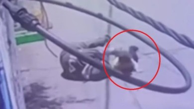 0a30b4ee dfd1 4b89 8347 f2338f550015 16x9 1200x676