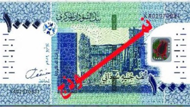 image search 1590990196343 780x427 1