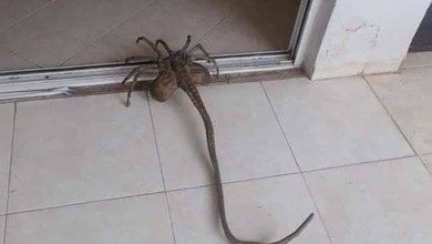 5f1af7314236045ea44f58d8