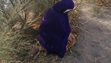 FB IMG 1595953273052 720x470 1