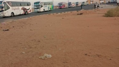 بالصورة..عودة الرحلات السفرية بين السودان ومصر FB IMG 1598334116199 720x470 1