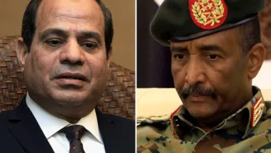 السيسي يستقبل البرهان رسميًا بقصر الاتحادية البرهان والسيسي