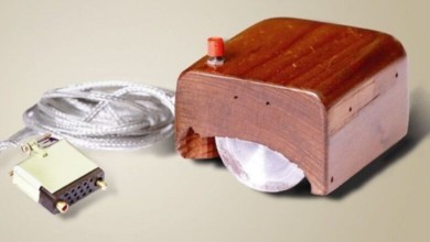 الفارة 780x470 1