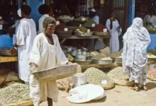 سوق محاصيل 1984