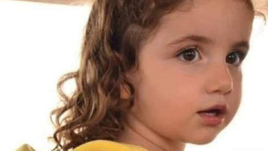 فراشة بيروت