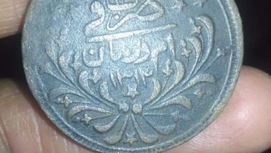 FB IMG 1598983984241 540x470 1