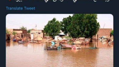 تضامن واسع من نجوم الوطن العربي والشعوب العربية مع أزمة فيضانات السودان FB IMG 1599458566943 720x470 1