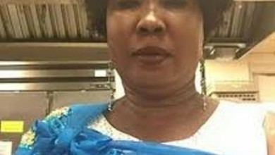 image search 1600612386952