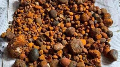 WhatsApp Image 2021 01 30 at 1.14.38 AM