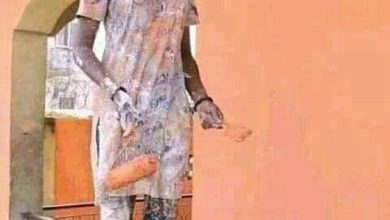 مهنة جديد للنساء 1