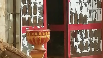 استاد المريخ