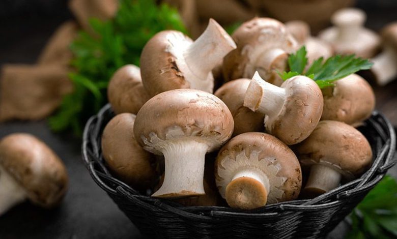 تناول حبة واحدة من هذا النبات يوميا يقلل خطر الإصابة السرطان بنسبة 45 ٪ فطر