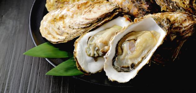 إصابة محار ورخويات صالحة للأكل بكورونا في إسبانيا محار