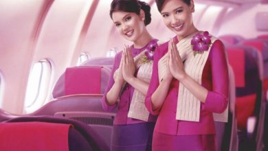 مضيفة طيران