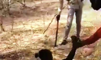 وزيرة تستنكر حادثة اغتصاب فتاة النيل الازرق وتدعو لتطبيق القانون اغتصاب سودانية