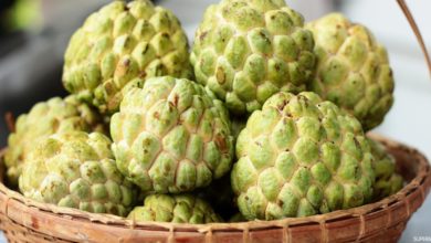 فاكهة القشطة