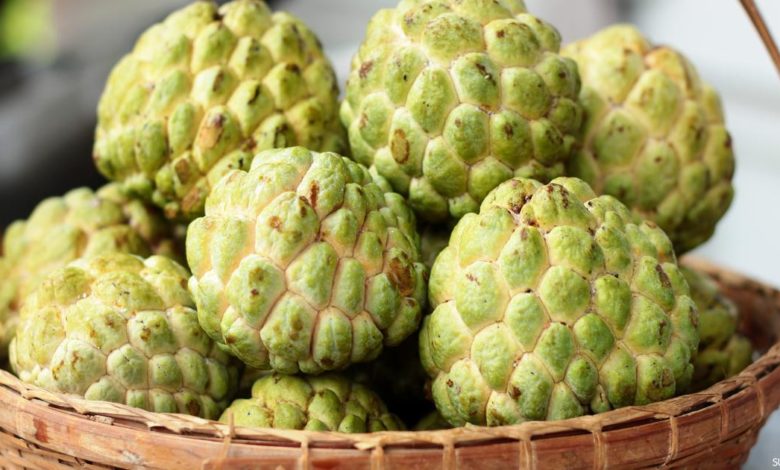 تناول هذه الفاكهة باستمرار يسبب تسمم في الكبد والكلى ويضر الأعصاب فاكهة القشطة