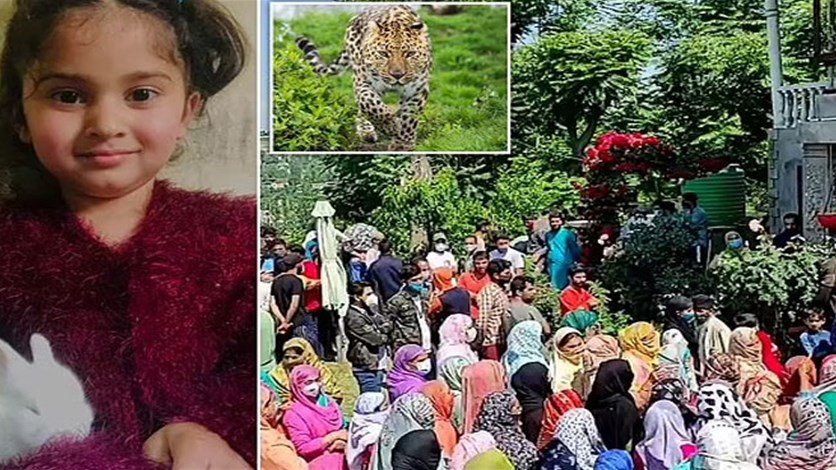 نمر يقتل طفلة