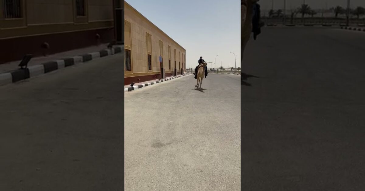 بالفيديو.. شاهد ما فعله مقيم سوداني ليحصل على لقاح كورونا 333824