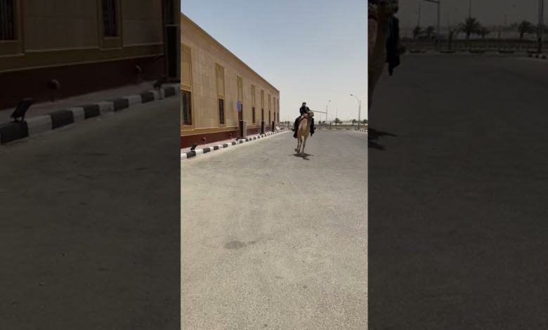 بالفيديو.. شاهد ما فعله مقيم سوداني ليحصل على لقاح كورونا 333824