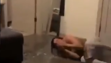 image 2021 07 28 074629