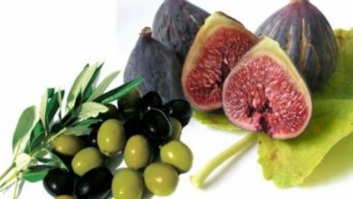 التين والزيتون