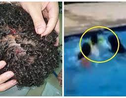 شاهد: لحظة هجوم كلب شرس على طفل داخل مسبح بقرية سياحية مصرية هجوم كلب على طفل