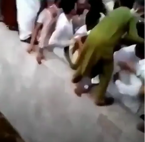 شاهد.. 400 باكستاني يعتدون على مشهورة تيك توك ويجردونها من ملابسها image 2021 08 19 201416