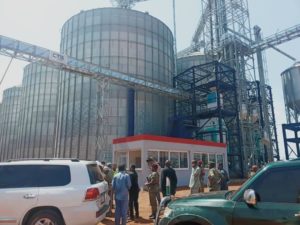 صوامع الغلال