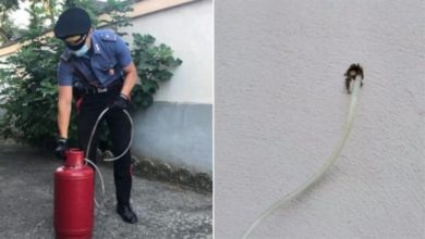 قتل جاره بالغاز