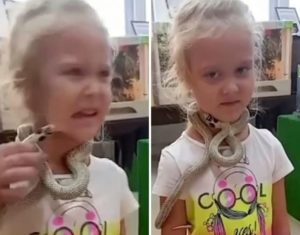 افعى تلدغ طفلة