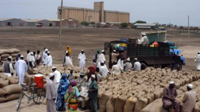 39208 w8W9vVtPofeo yKHSvSBSVJkGB7XXvZn