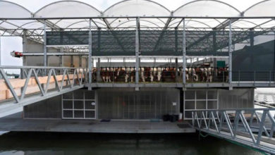 52460 أول مزرعة عائمة فى العالم