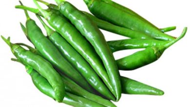 فلفل أخضر حار