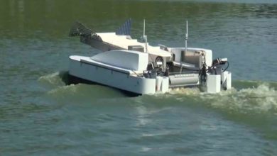 مكنسة البحر