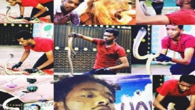 وفاة سوداني بكوبرا