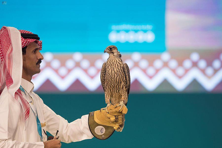 الصقر شاهين فرخ