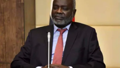 جبريل إبراهيم